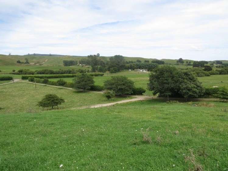 515 Matarawa Road Kinleith_8