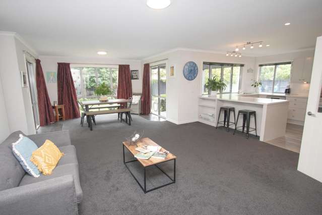 6 Elmwood Grove Tinwald_2