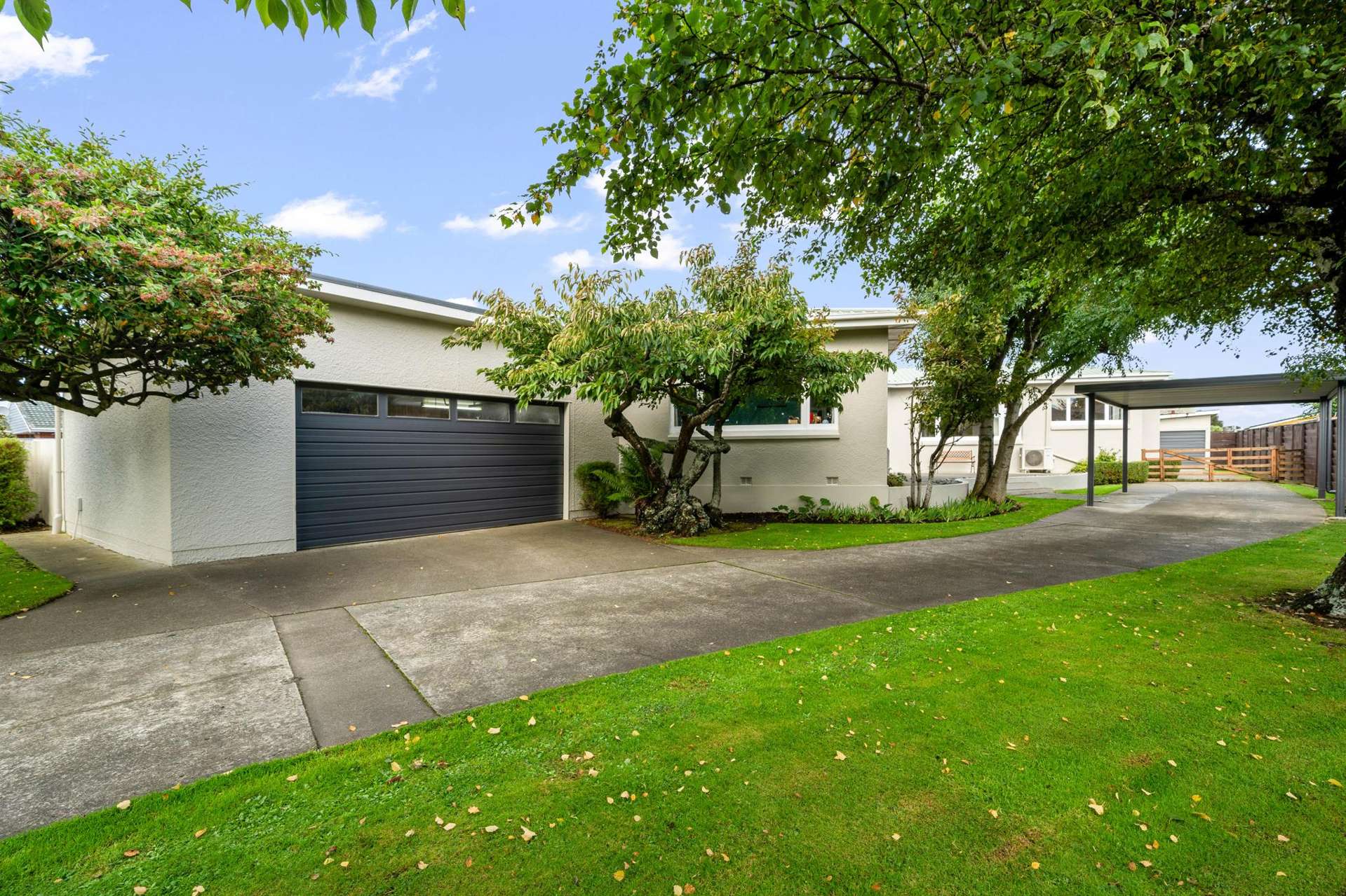 20 Carlyle Street Hawthorndale_0