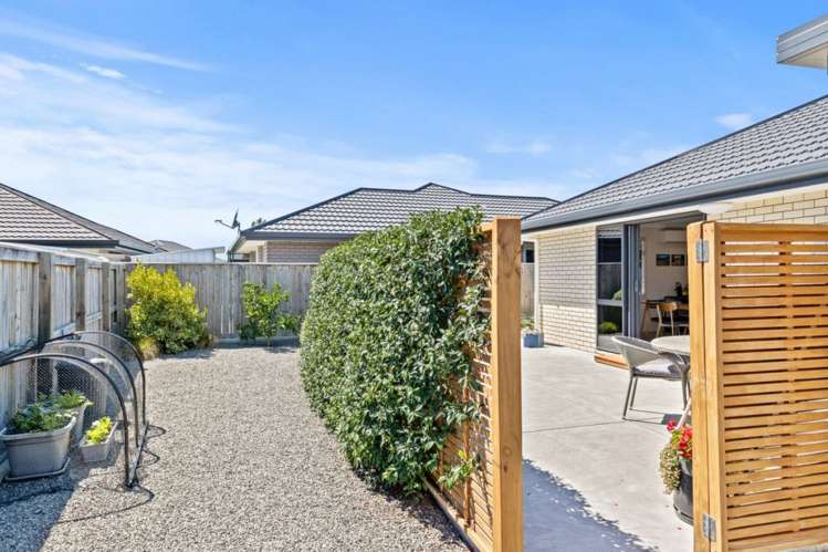 25 Korari Grove Redwoodtown_21