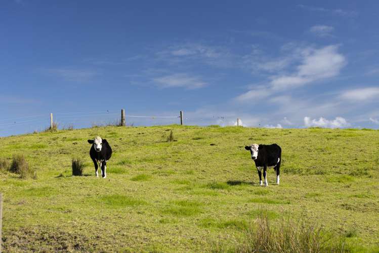 lot 3/612 Inland Road Tokerau Beach_27