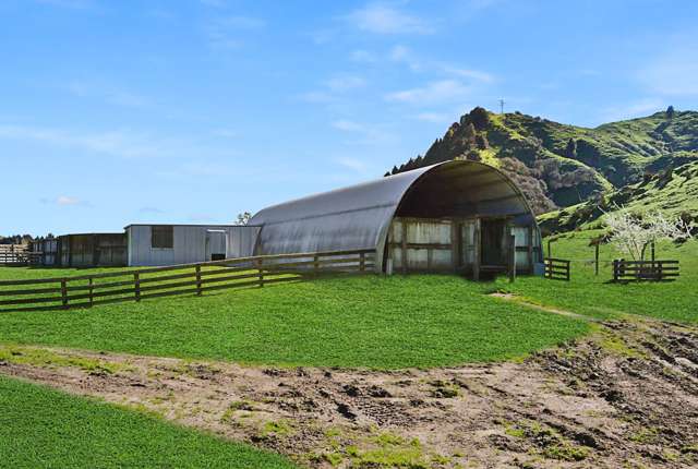 993 Upper Retaruke Road Ruapehu-King Country Surrounds_1