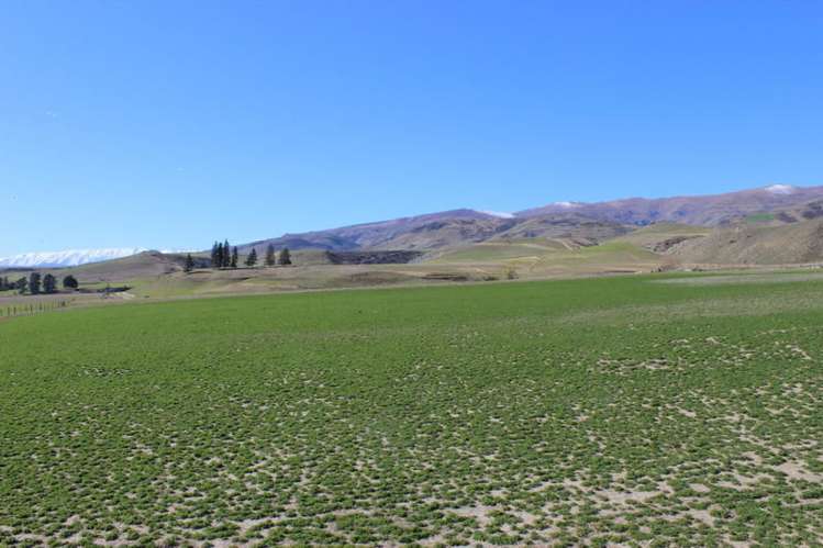 522 Ardgour Road Westland Surrounds_2