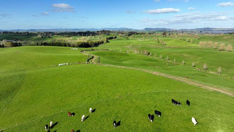 819 Waikokowai Road Ruawaro_25