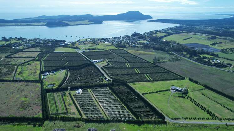 65 Elingamite Drive Pukenui_5