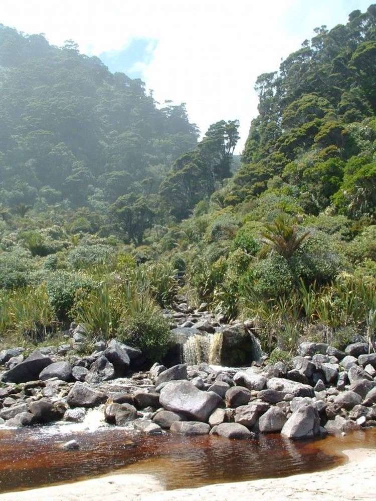 466 Wangapeka Road Kahurangi National Park_15