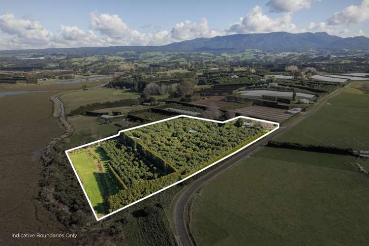 80 Prestidge Road Aongatete_33