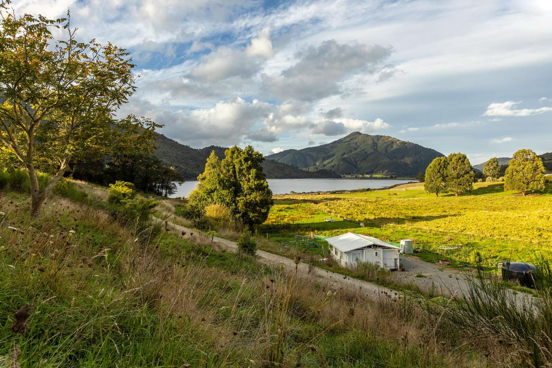 884 Queen Charlotte Drive Linkwater_0