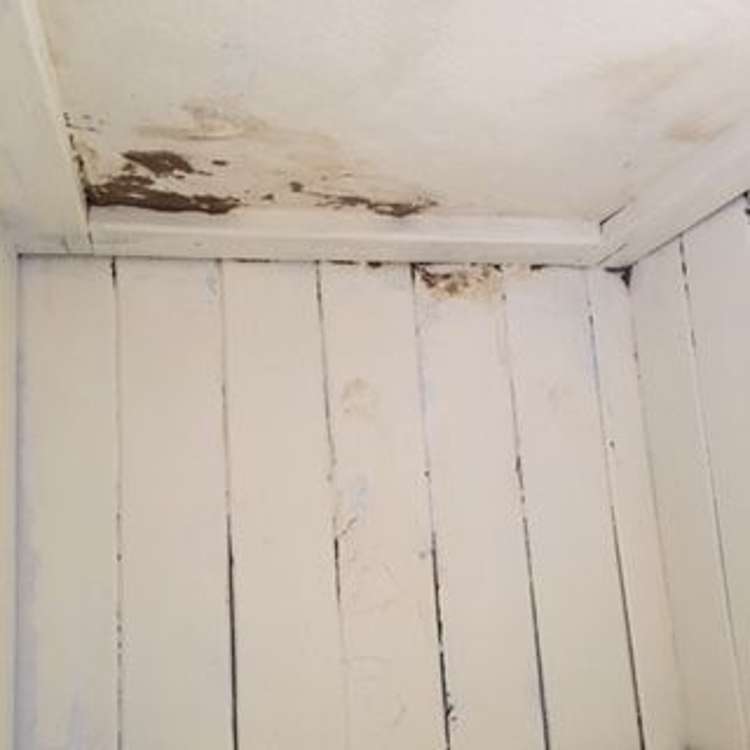 33 Station Street Tirau_23