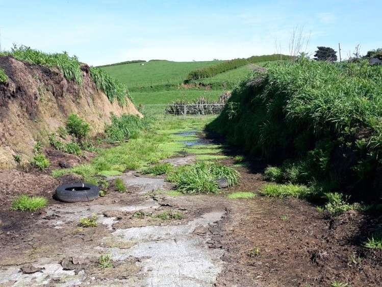 346 Rugby Road Tariki_71