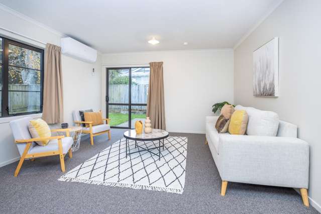 47a Nixon Street Hamilton East_1