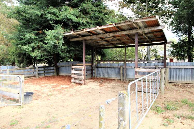 11 Pinfold Road Woodville_2