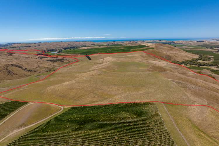 167 Marama Road Seddon_22