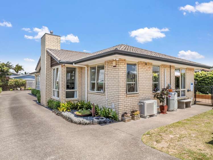 43A Victoria Avenue Whakatane_26