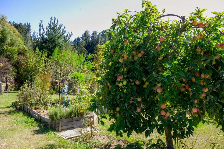 167 Stringer Road Redwood Valley_12