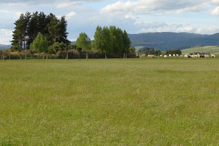 389 Mckenzie Road Winton Surrounds_10