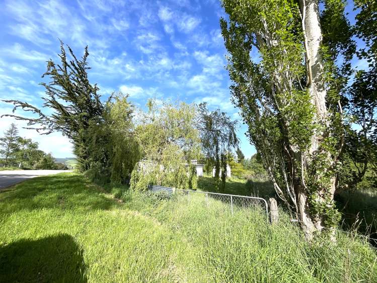 37 Knoll Street Milton_14