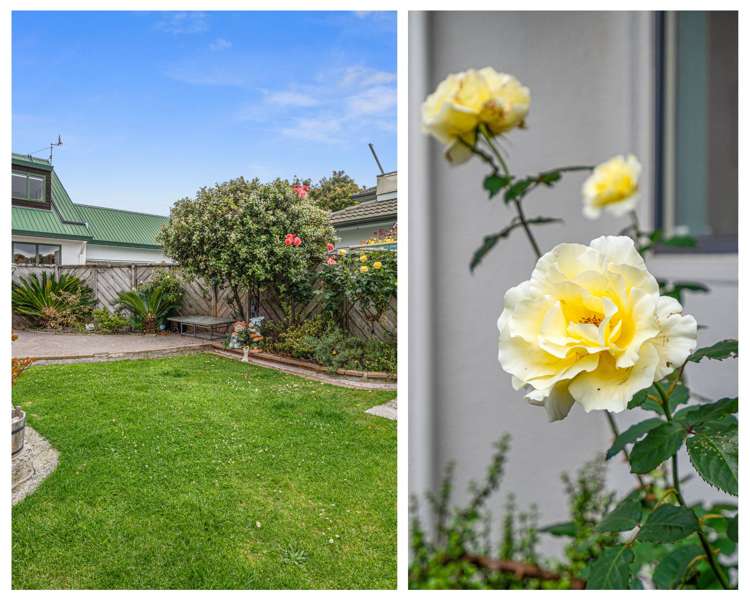 19b Brinkley Road Otumoetai_9