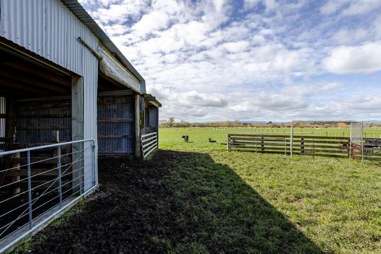 55 Troup Road Woodville_11