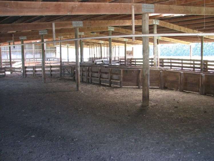 1259 Lakeside Road Milton_9