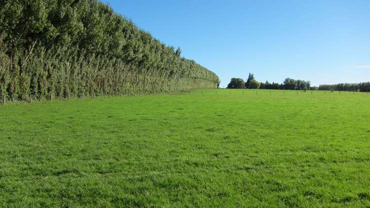 1010 Glenkenich Road Gore Surrounds_9