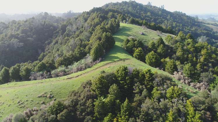 272 Kaiikanui Road Hukerenui and Surrounds_15