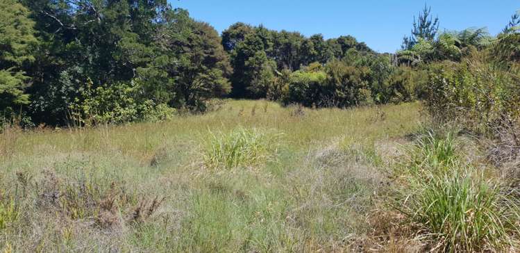 448 Moir Hill Road Warkworth_8