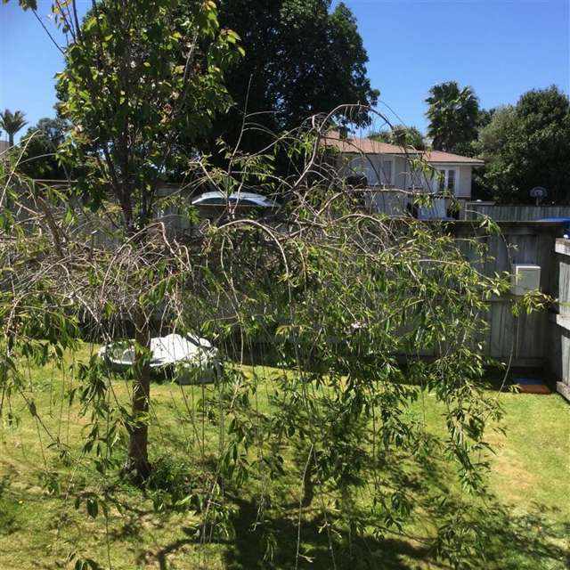 20a Merivale Road Parkvale_3