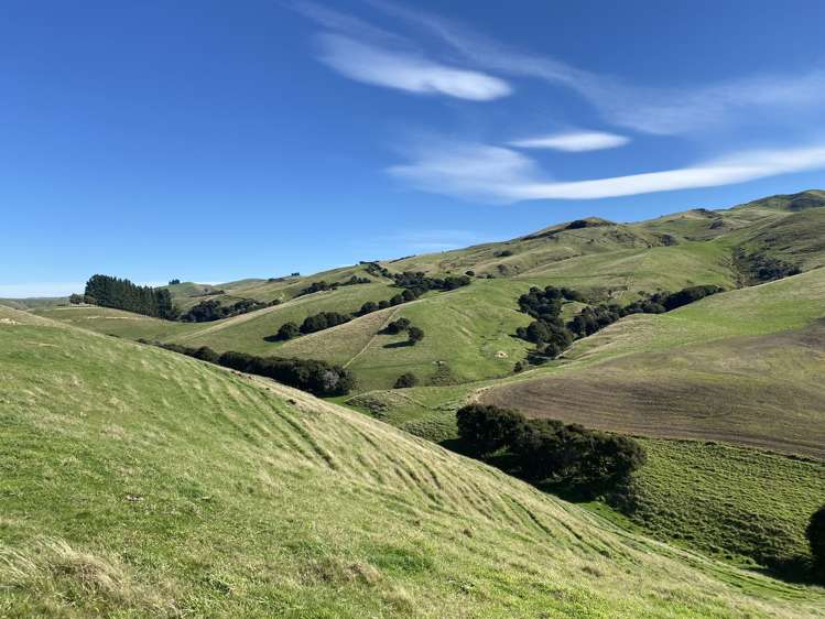 48 Heathfield Road Waipara_9