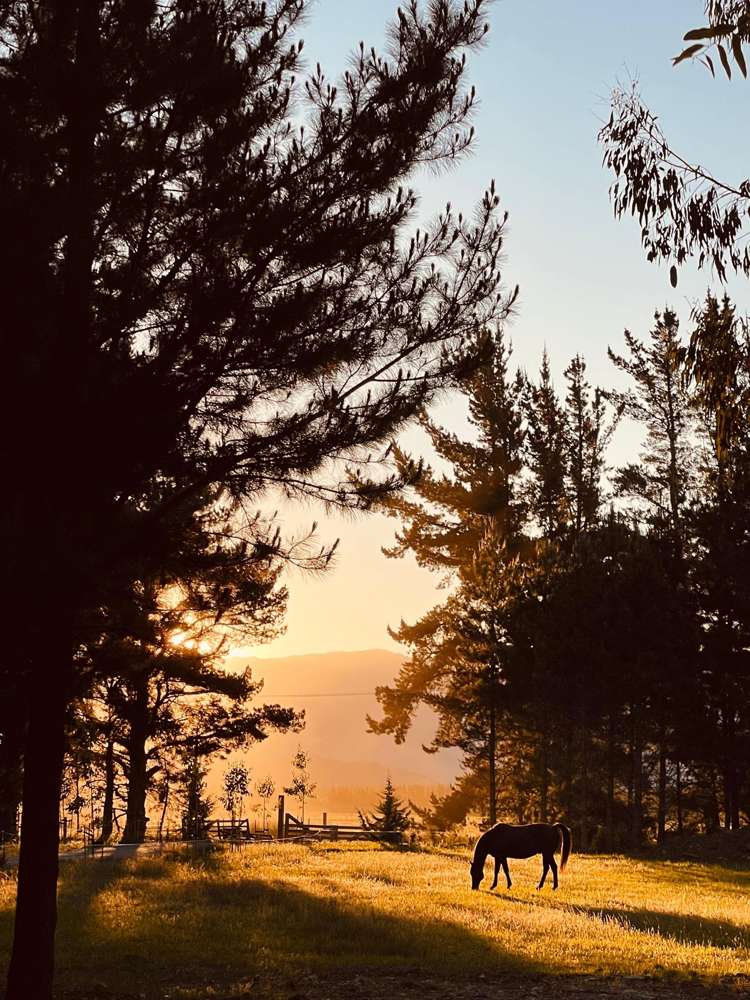 65 Butterfield Road Hawea Flat_22