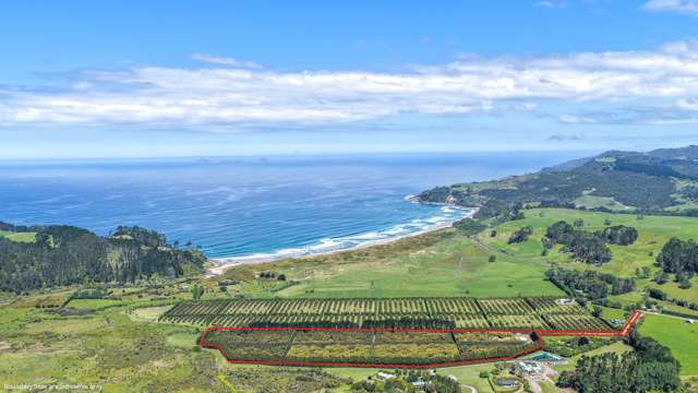 Scale, location and flexibility