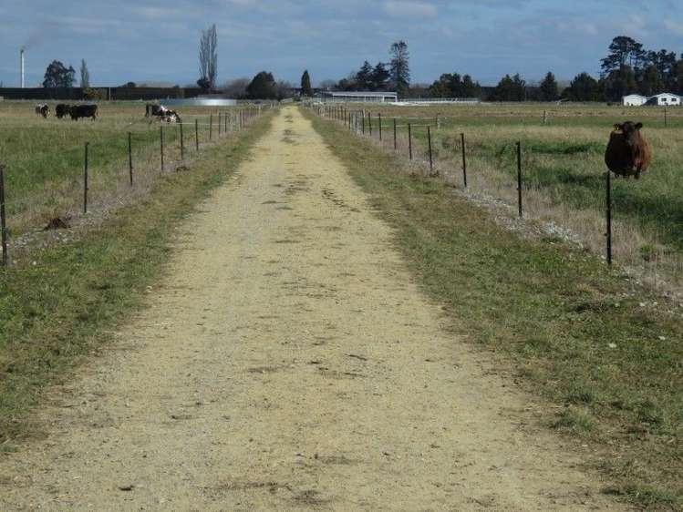 1035 Newland Road Clandeboye_12