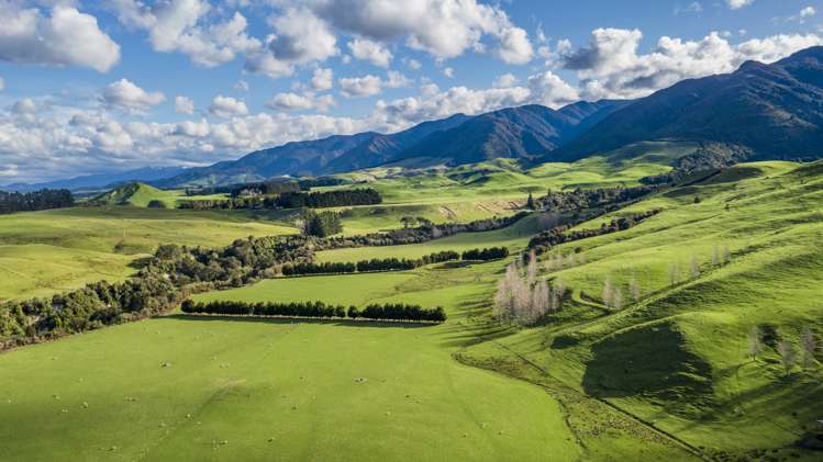 463 Gull Flat Road Central Hawkes Bay Country_23