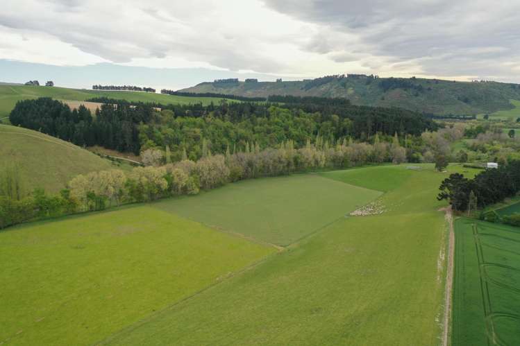 1201 Pareora River Road Maungati_20