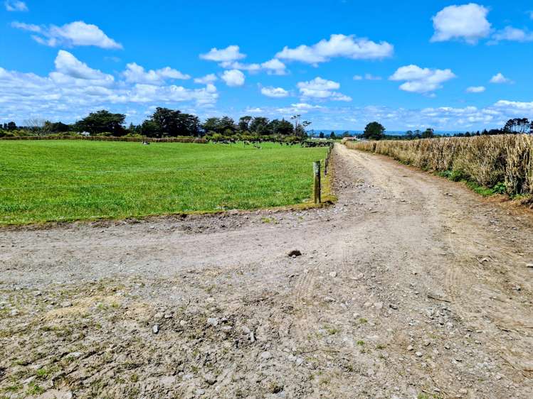 299 Cardiff Road Cardiff_19