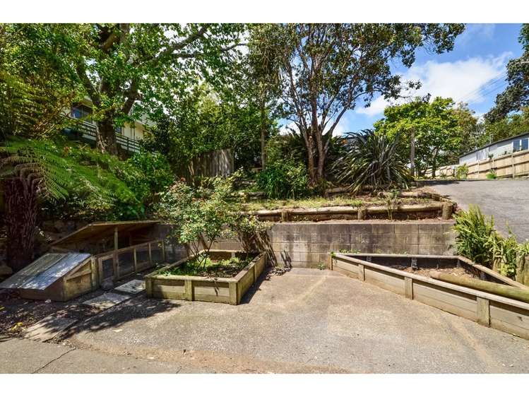 2/25a Balmain Road Birkenhead_13