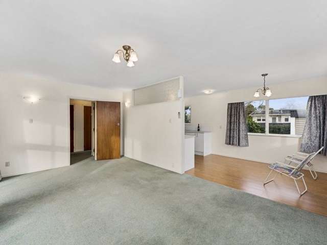 3 Totara Drive Saint Andrews_2