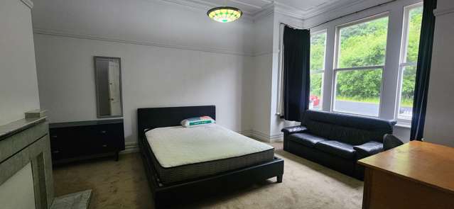 39 Malvern Street Woodhaugh_3