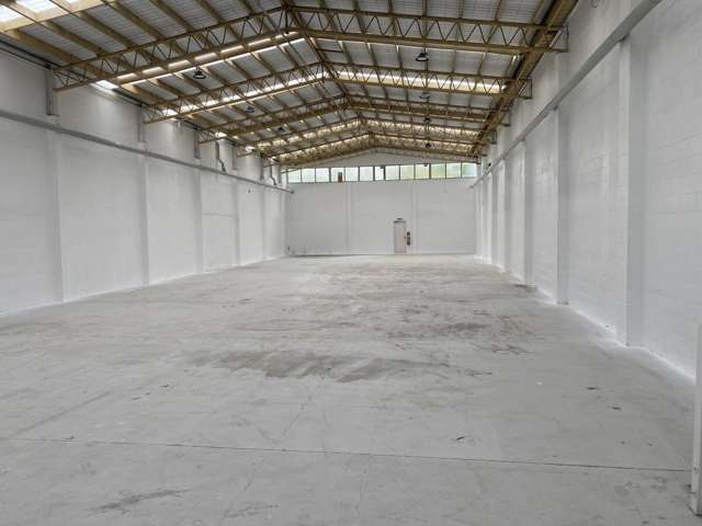 54 White Street Fenton Park_3