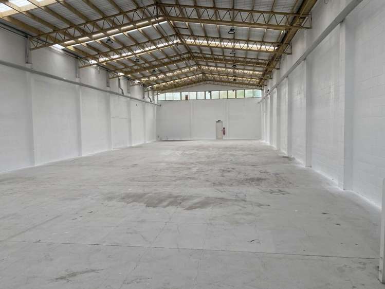 54 White Street Fenton Park_3