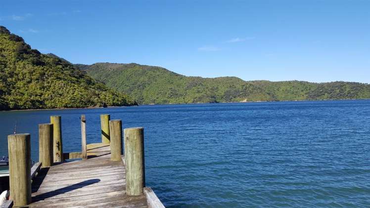 Torea Moua Bay Marlborough_22