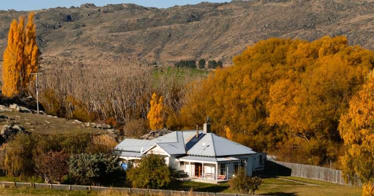 1109 Little Valley Road Alexandra_21