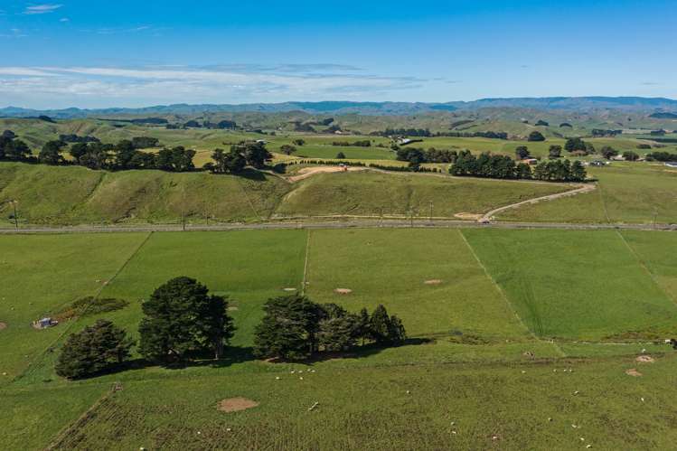 465 Pinfold Road Woodville_4