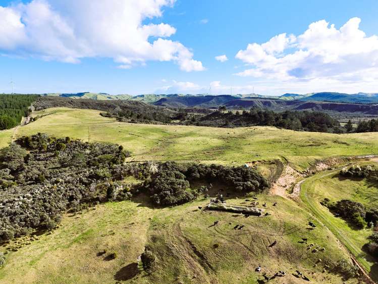 Lot 2 State Highway 12 Dargaville_4