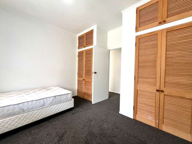 352 Hillsborough Road Mt Roskill_9