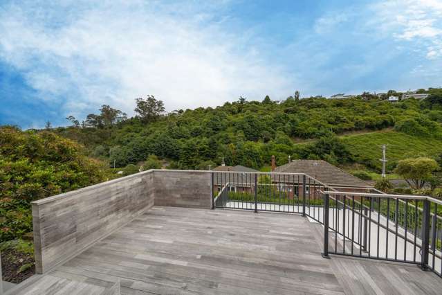 1 Everton Road Andersons Bay_2