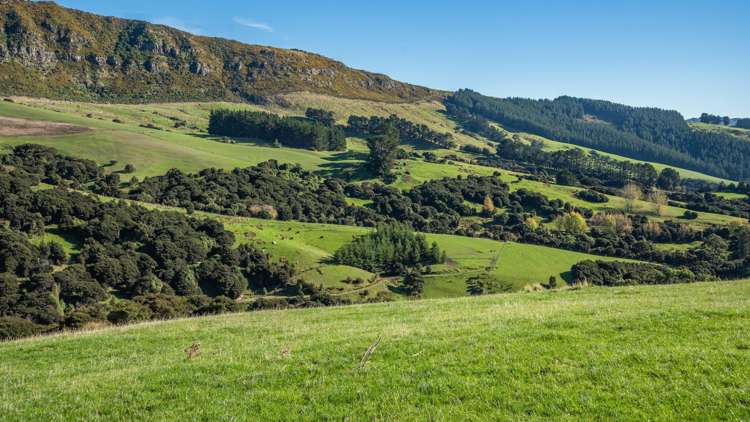 168-240 Purau Port Levy Road Purau_15