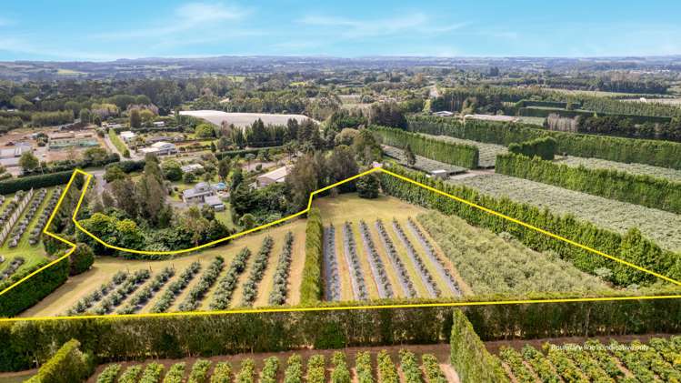 565 Kerikeri Road_0