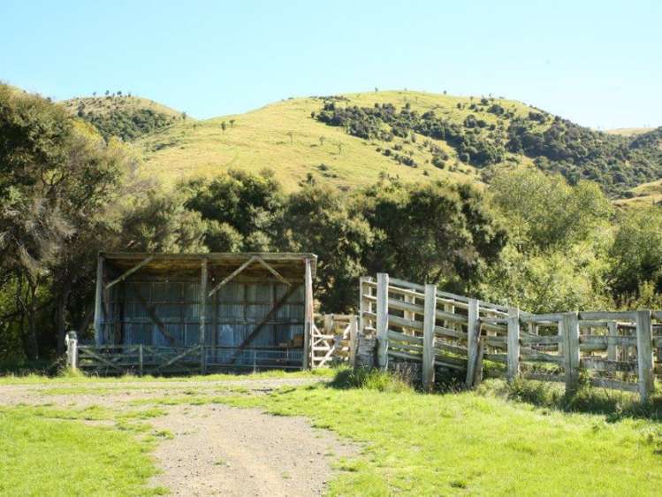 1007 Motunau Beach Road Motunau_17