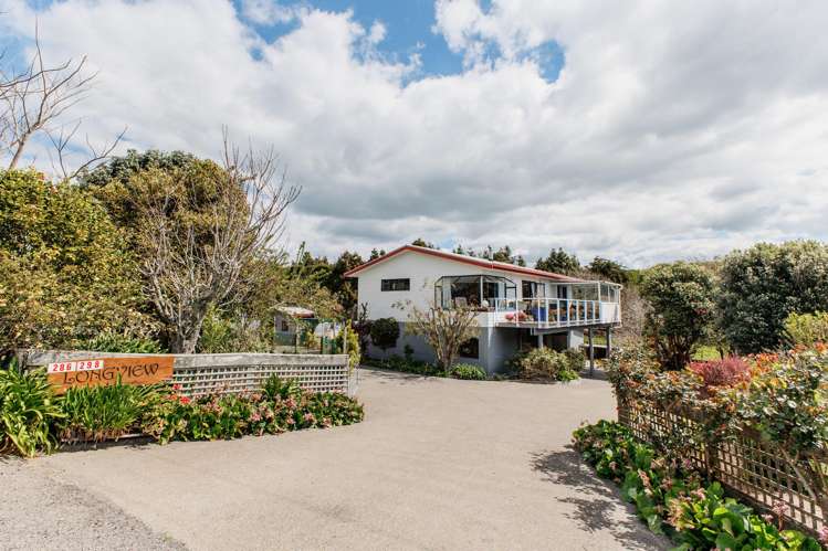 286 Paerata Ridge Road Opotiki_4